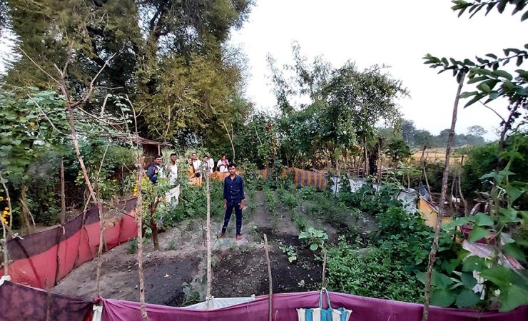 TPL-Livelihood-9-1-740x450