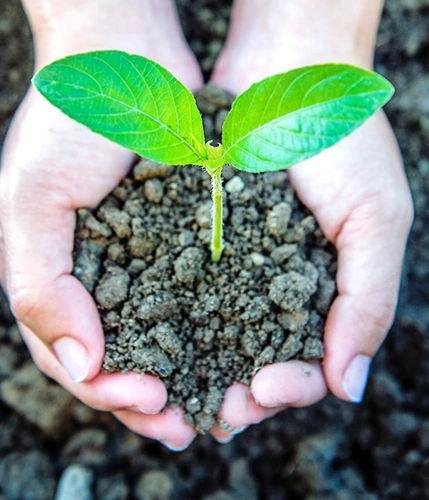 Sustainability