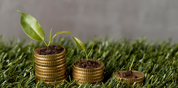 Pioneering Circular Economies